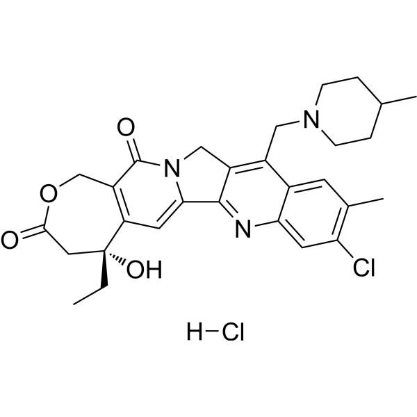 Elomotecan hydrochloride (BN 80927) 220997-99-9